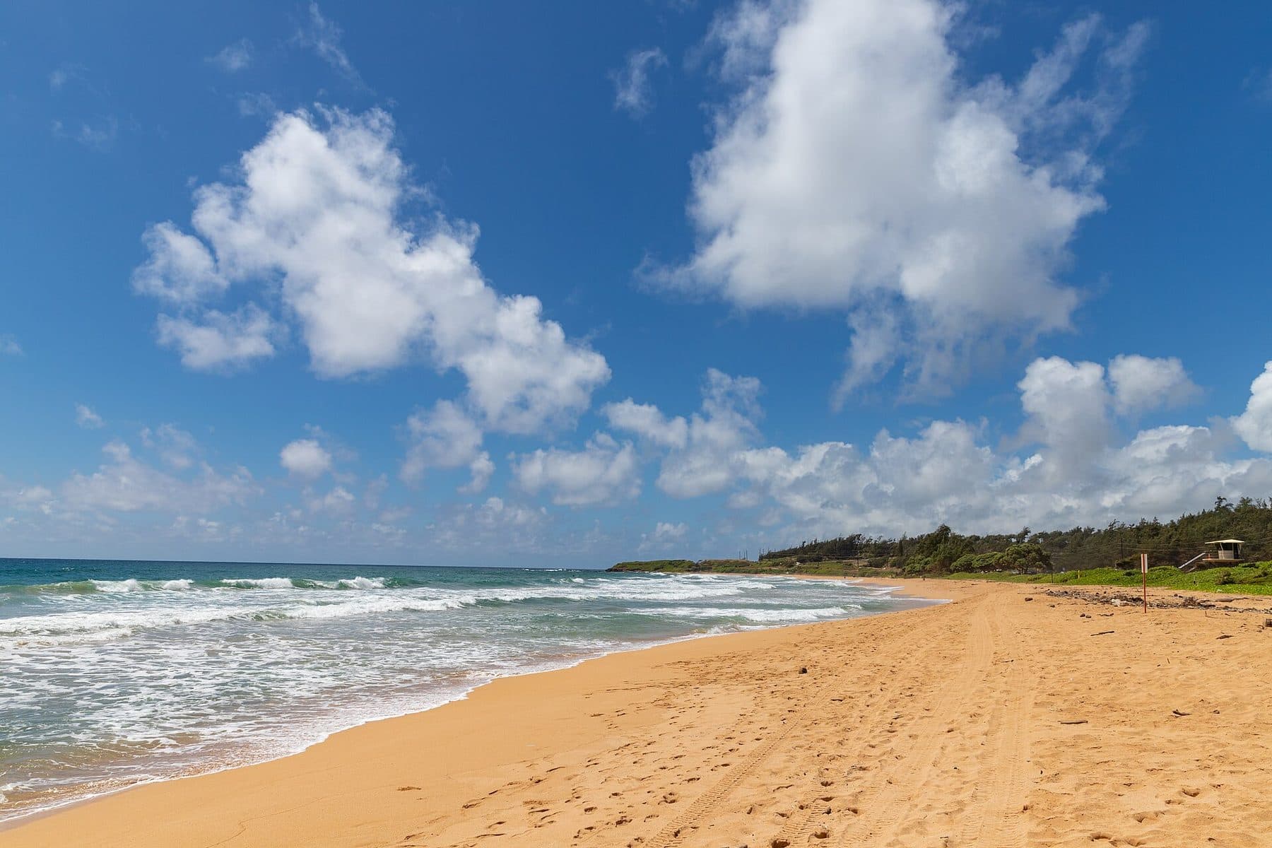 The long golden sweep of Keālia Beach under a blue sky
