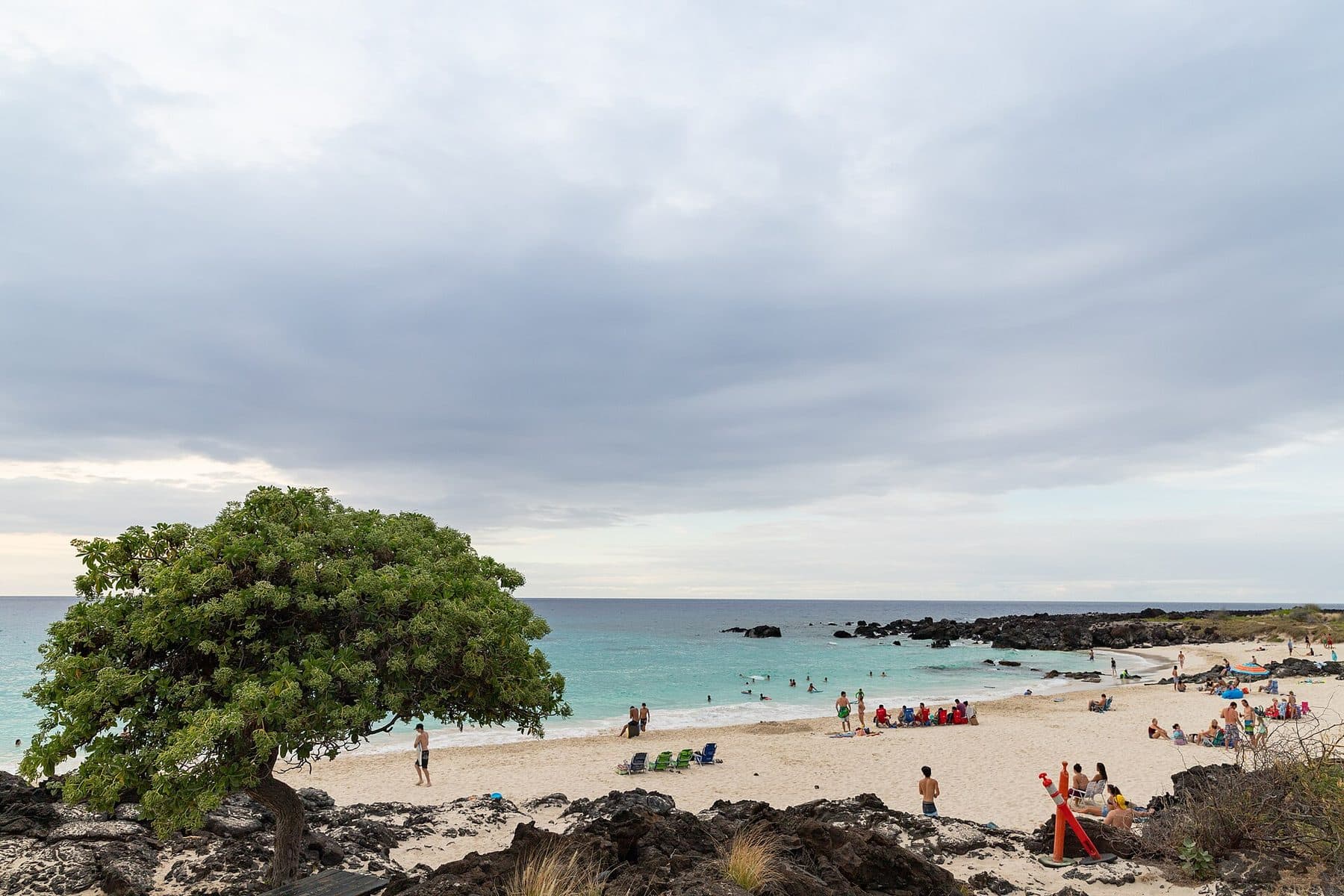 A lone shade tree above the white sand and lava rock of Maniniʻōwali (Kua Bay)