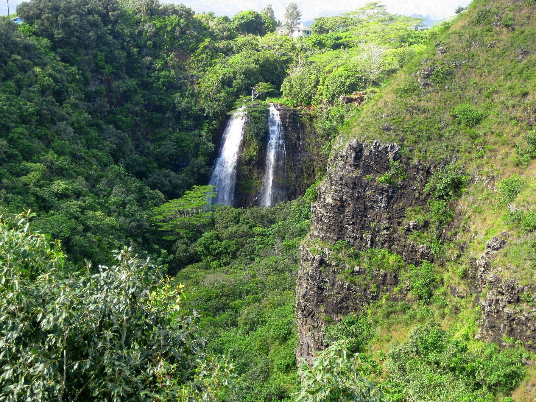 Twin streams of ʻŌpaekaʻa Falls dropping into a green gorge above the Wailua River