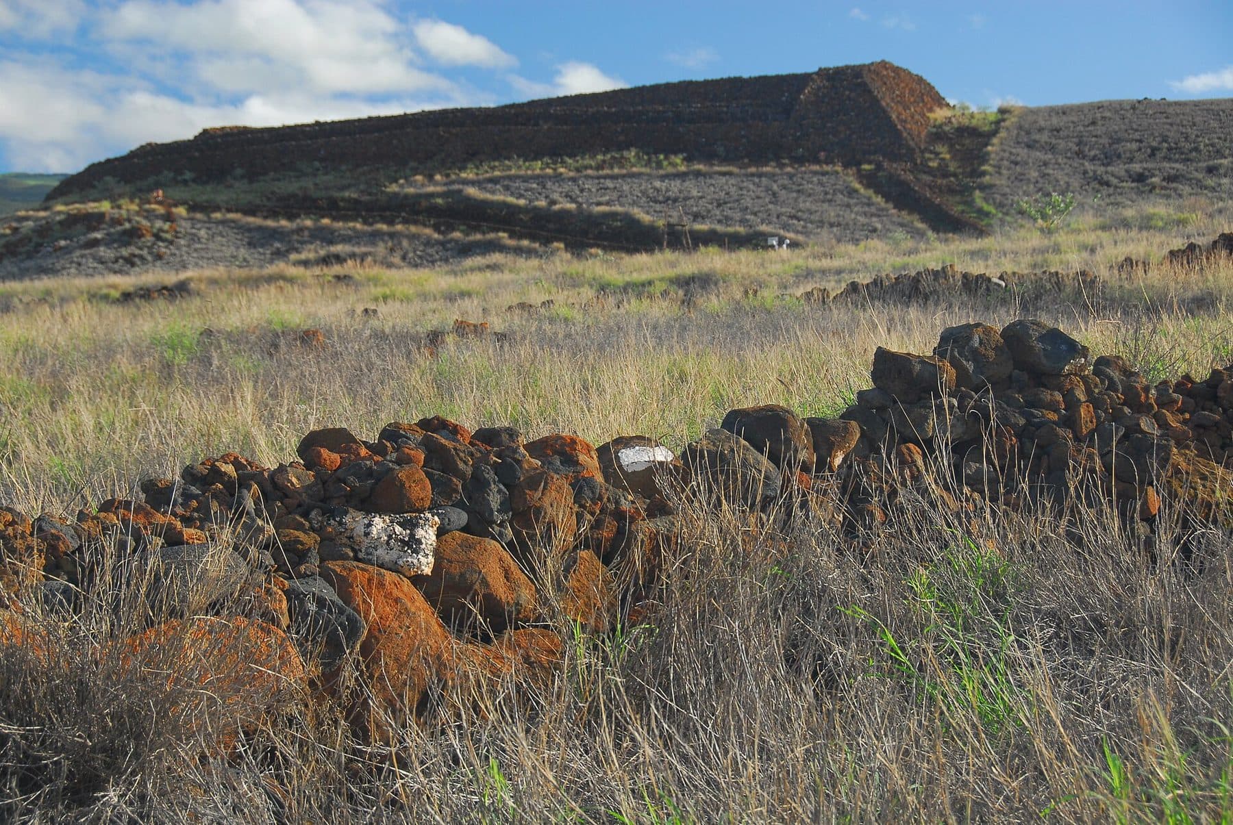 The massive stone platform of Puʻukoholā Heiau above dry grassland near Kawaihae