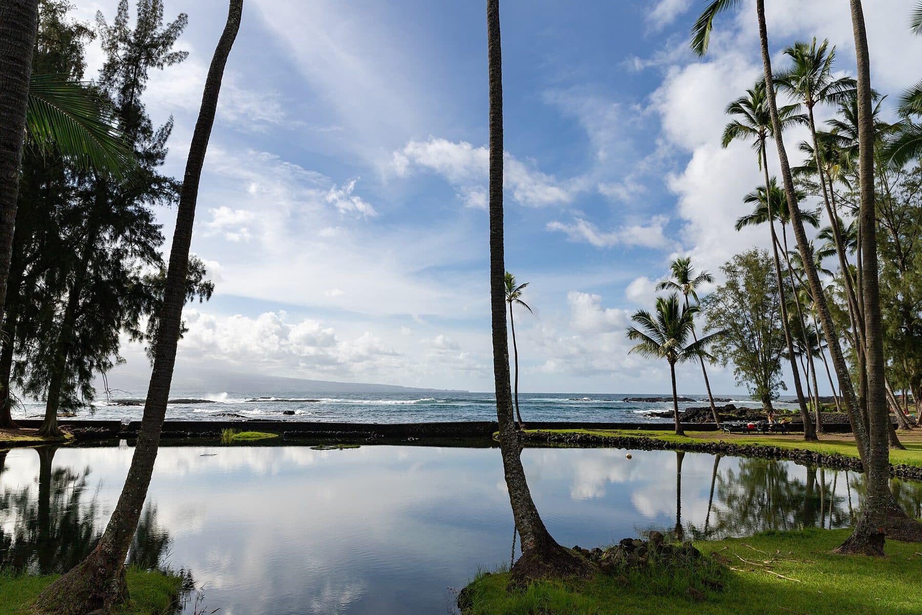 Coconut palms reflected in calm water at Richardson Ocean Park in Hilo