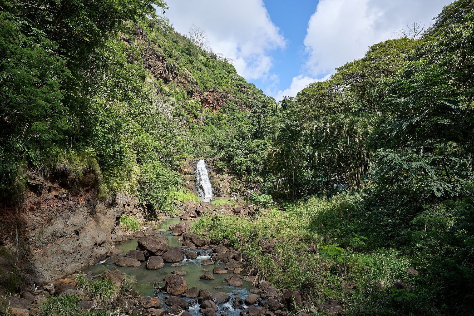Waimea Falls in the botanical garden of Waimea Valley
