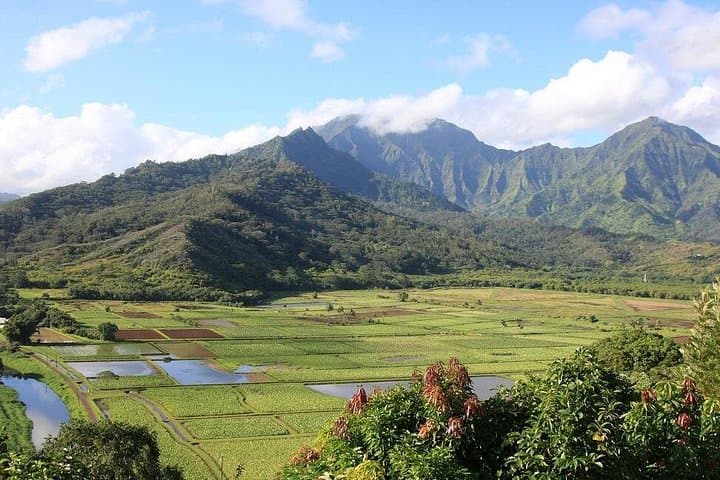 Kauaʻi Hawaii Movie Tour (tour photo)