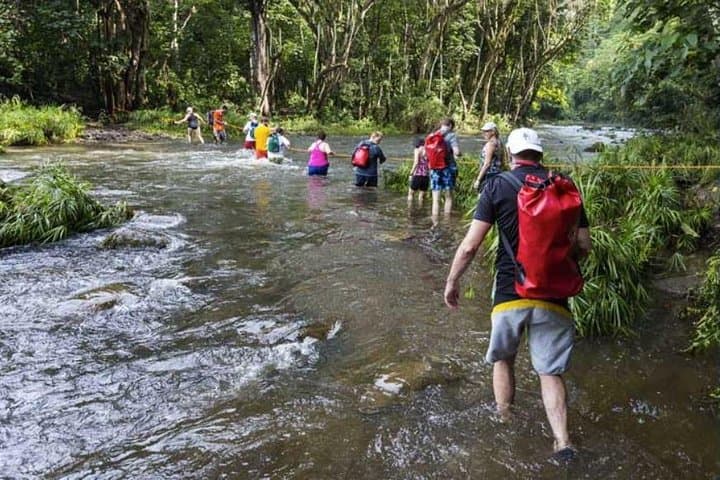 Wailua River Kayak & Falls Hike with Lunch (tour photo)