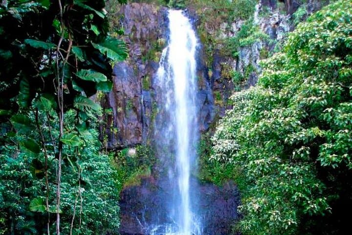 Small-Group Road to Hāna Tour (8 Guests Max) (tour photo)