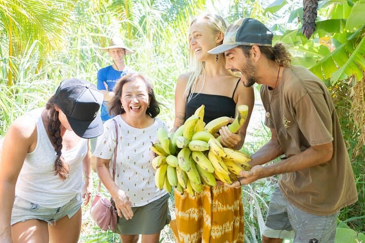 Taste of Hawaiʻi Community Farm Tour (tour photo)