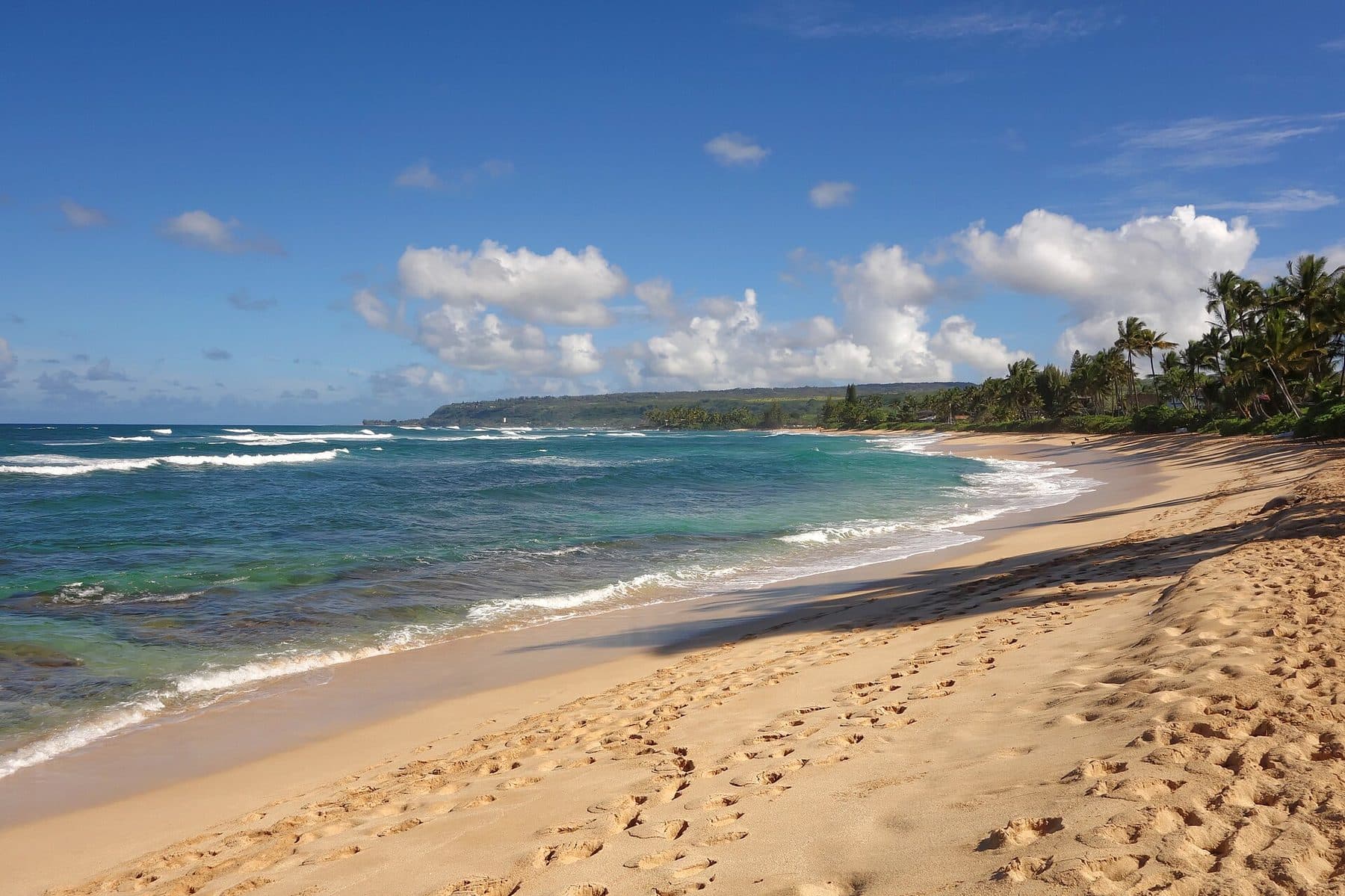 Sandy North Shore beach between Haleʻiwa and Laniākea