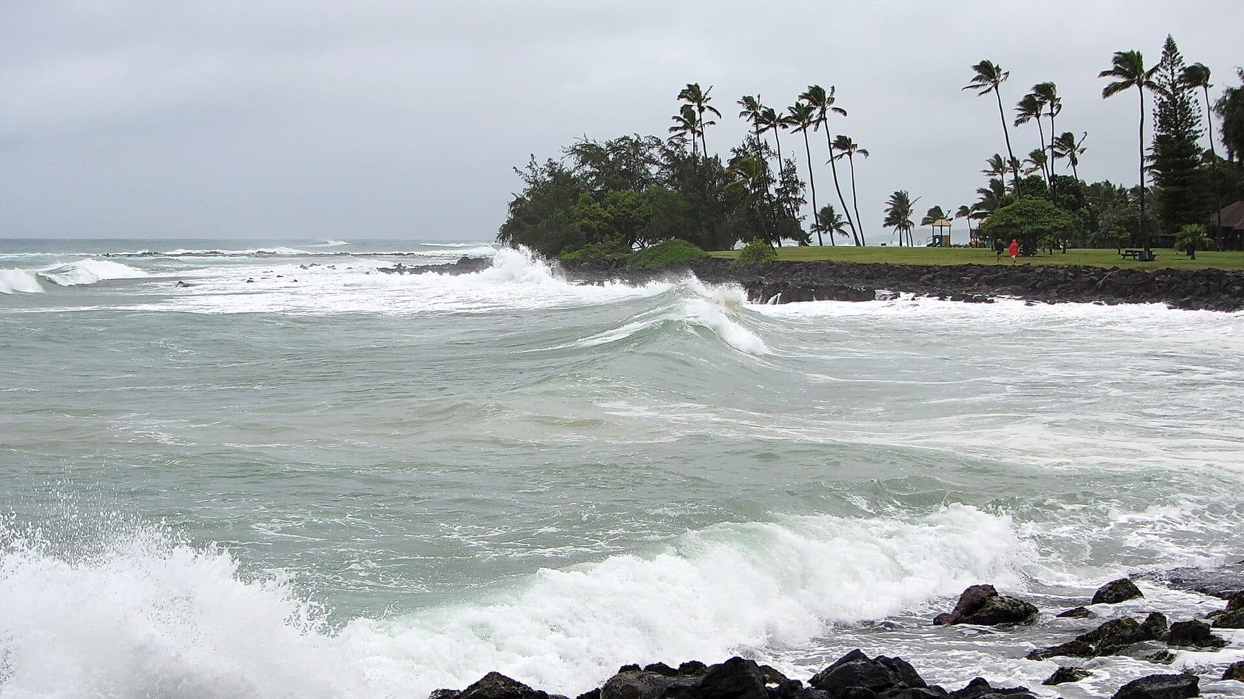 Waves breaking along the palm-lined Poʻipū coast