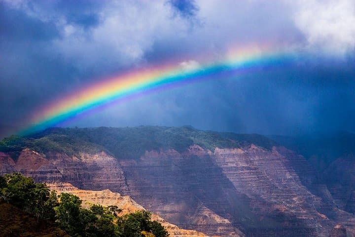 Waimea Canyon & Kōkeʻe Guided Tour (tour photo)