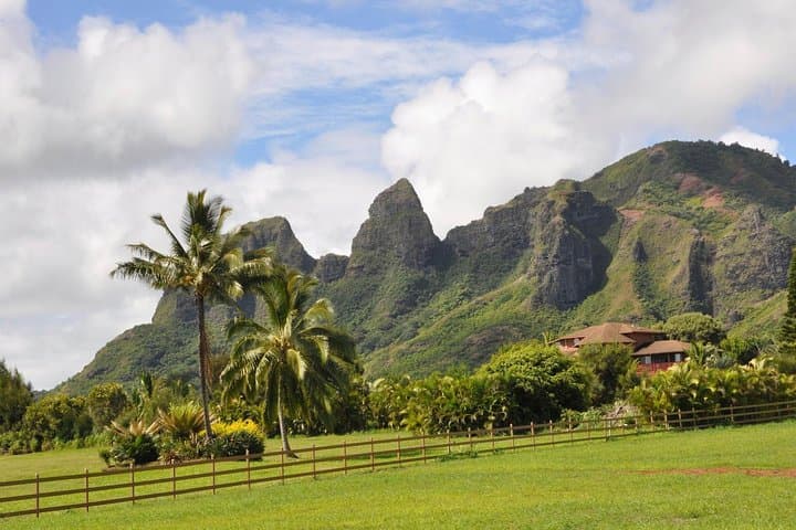 Kauaʻi Highlights & Movie Sites Tour (tour photo)