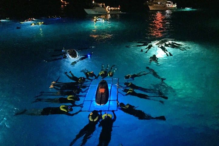 Manta Ray Night Snorkel (tour photo)