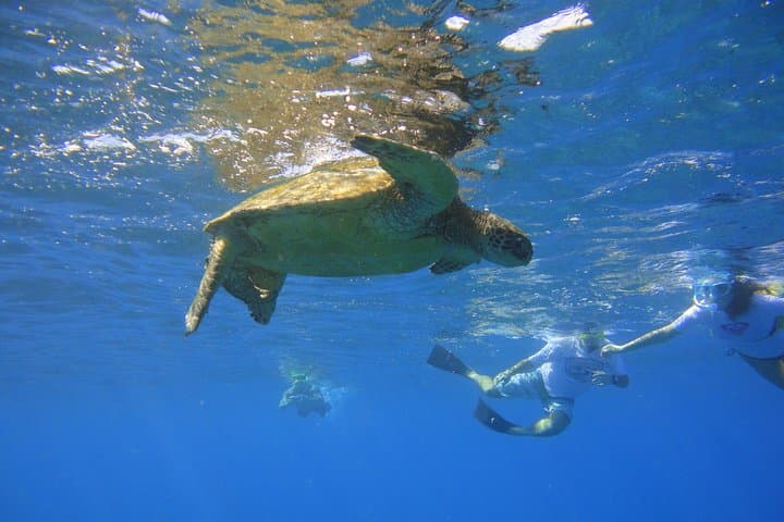 Small-Group West Maui Snorkel Boat from Kāʻanapali (tour photo)