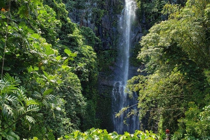 Small-Group Road to Hāna Adventure with Lunch (tour photo)