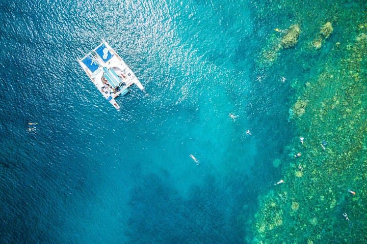 West Maui Half-Day Snorkel Sail from Kāʻanapali Beach (tour photo)