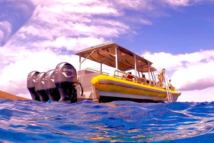 Molokini Crater and Turtle Cove Snorkel by Super Raft (tour photo)