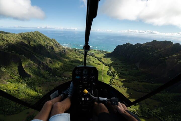 Private 60-Minute Circle-Island Helicopter Tour (tour photo)