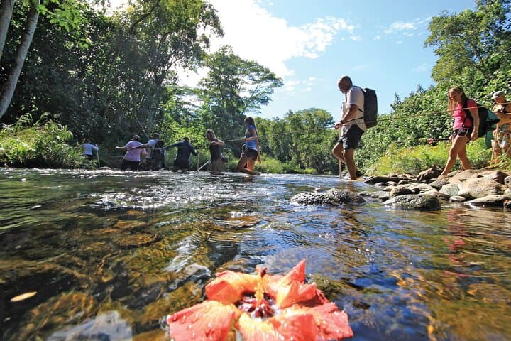 Secret Falls Kayak & Hike (Aliʻi Kayaks) (tour photo)