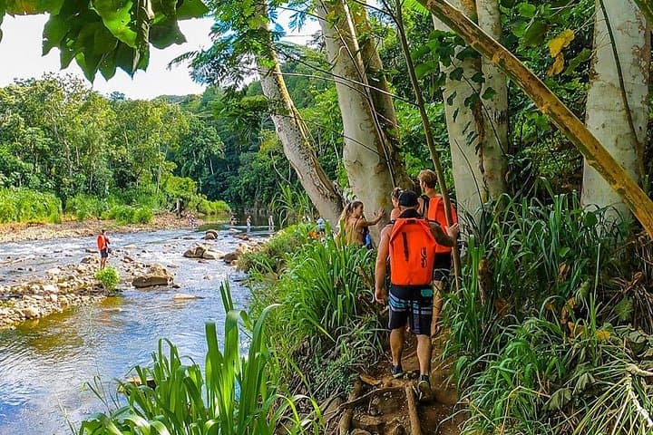 Wailua River Kayak & Secret Falls Hike (tour photo)
