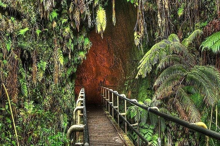 Hawaiʻi Volcanoes National Park Experience (tour photo)