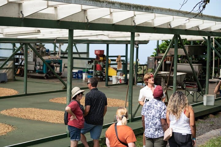 Kona Coffee Farm Tour (tour photo)