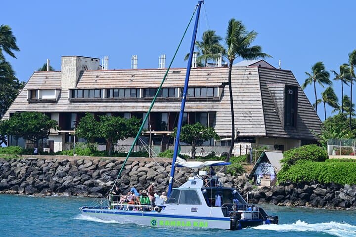 Turtle Snorkel Catamaran Tour (tour photo)
