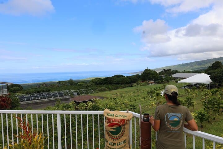 Coffee Farm Tour: Tree to Tasting Room (tour photo)