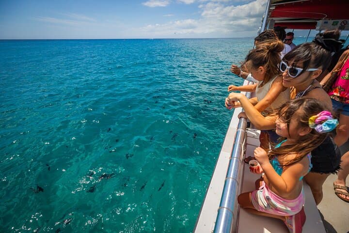 Waikīkī Glass-Bottom Boat Cruise (tour photo)