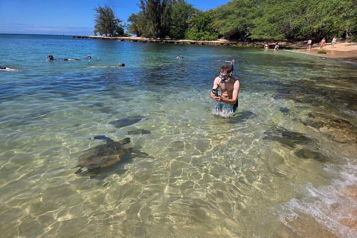 Small-Group Circle Island Tour with Turtle Snorkeling (tour photo)