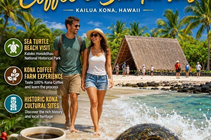 Kona Shore Excursion: Sea Turtles, History & Coffee (tour photo)
